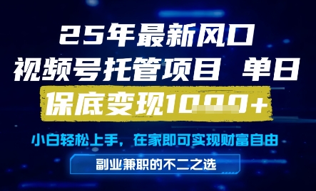25年最新风口,视频号托管项目,单日保底变现1k+,手把手教学【揭秘】网创吧-网创项目资源站-副业项目-创业项目-搞钱项目网创吧