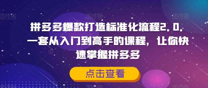 拼多多爆款打造标准化流程2.0,一套从入门到高手的课程,让你快速掌握拼多多网创吧-网创项目资源站-副业项目-创业项目-搞钱项目网创吧