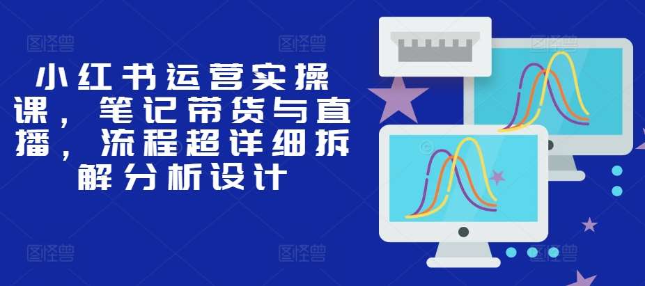 小红书运营实操课,笔记带货与直播,流程超详细拆解分析设计网创吧-网创项目资源站-副业项目-创业项目-搞钱项目网创吧