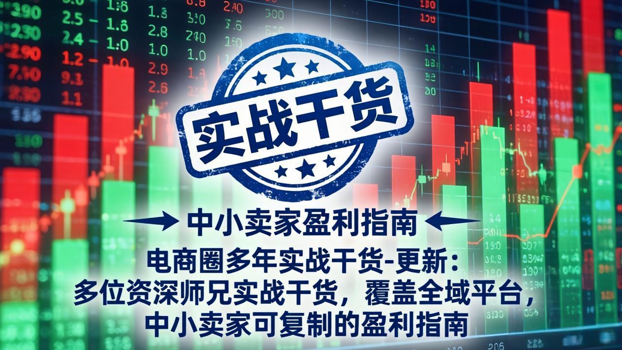 （19761期）电商圈多年实战干货-更新2026：多位资深师兄实战干货/覆盖全域平台，中小卖家可复制的盈利指南网创吧-网创项目资源站-副业项目-创业项目-搞钱项目网创吧