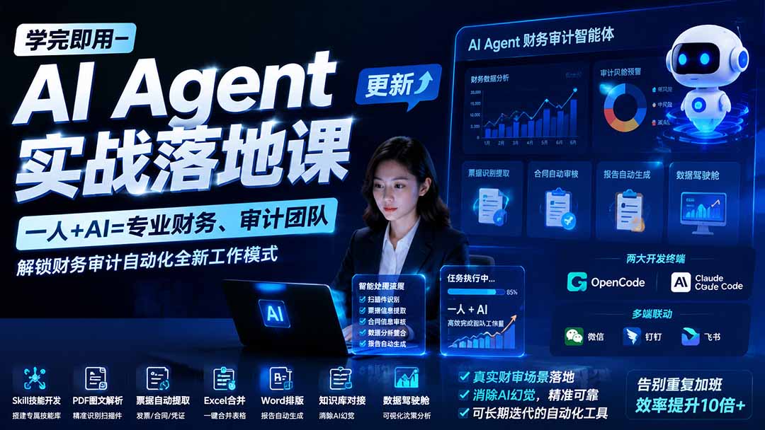 (19740期)学完即用—AI Agent实战落地课-更新:一人+AI=专业财务、审计团队,解锁财务审计自动化全新工作模式网创吧-网创项目资源站-副业项目-创业项目-搞钱项目网创吧