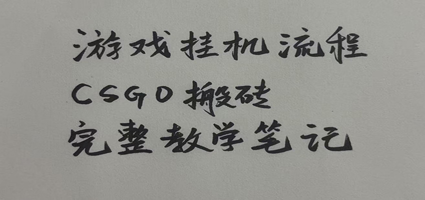 游戏挂机全流程笔记分享，CSGO游戏搬砖，小白看了当天学会见收益网创吧-网创项目资源站-副业项目-创业项目-搞钱项目网创吧