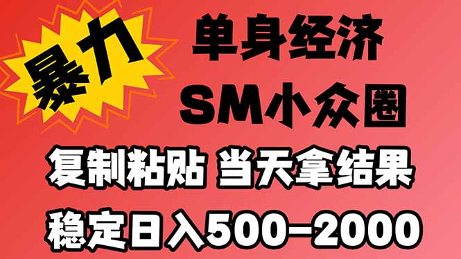 (21205期)26年 最新小众情感赛道,手机操作,十分钟见收益,小白也能当天上手,全程复制粘贴模板即可,稳定日入1k+网创吧-网创项目资源站-副业项目-创业项目-搞钱项目网创吧